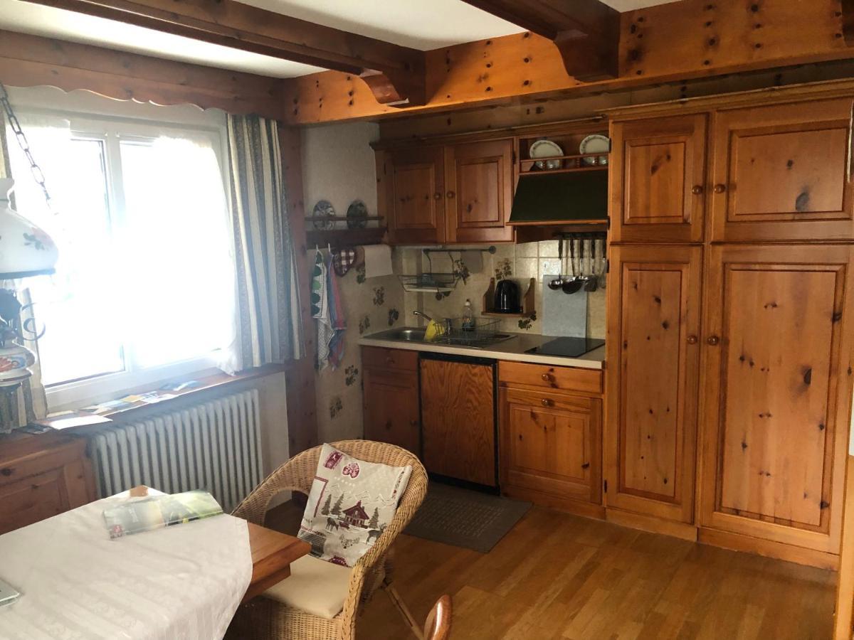 Gaestehaus Lickert Ferienwohnung Sued Feldberg ฮินเทอร์ซาร์เทน ภายนอก รูปภาพ
