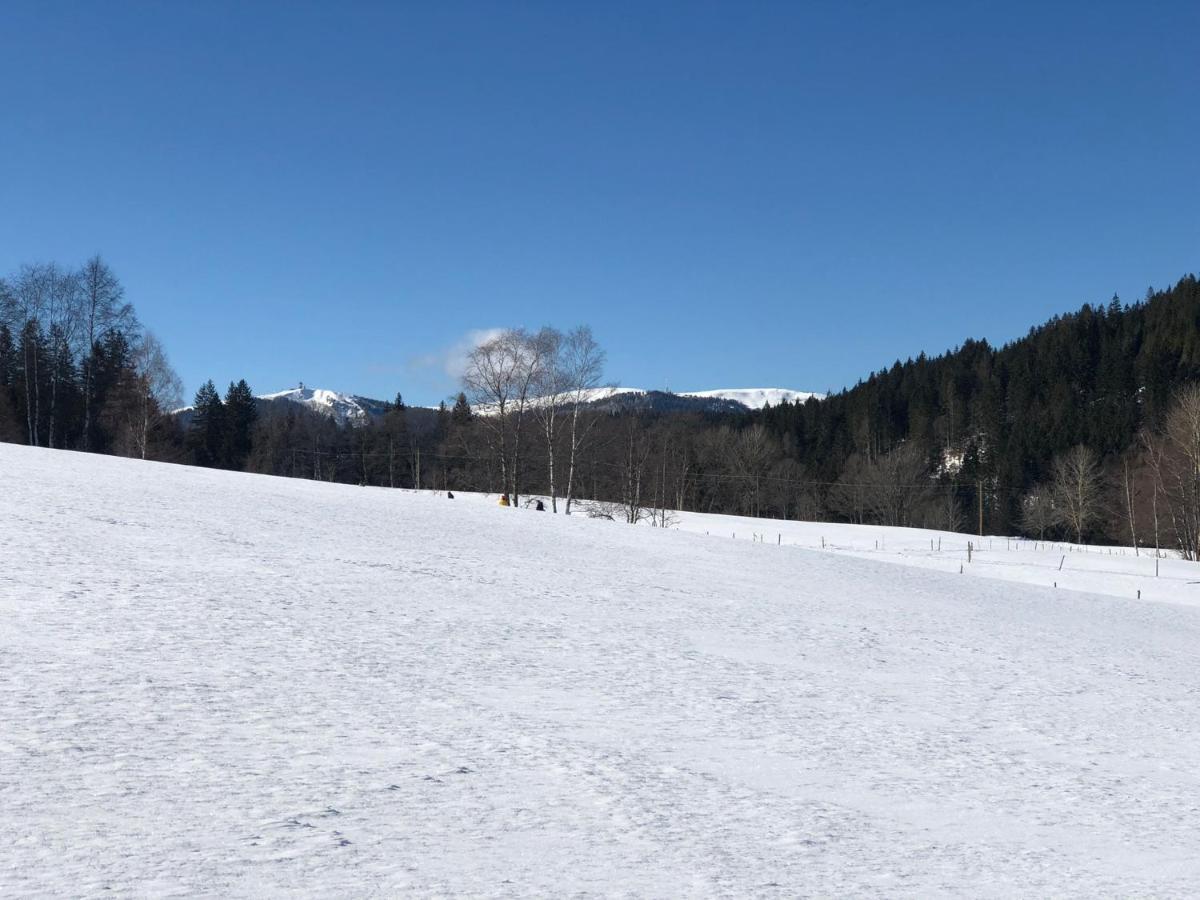 Gaestehaus Lickert Ferienwohnung Sued Feldberg ฮินเทอร์ซาร์เทน ภายนอก รูปภาพ